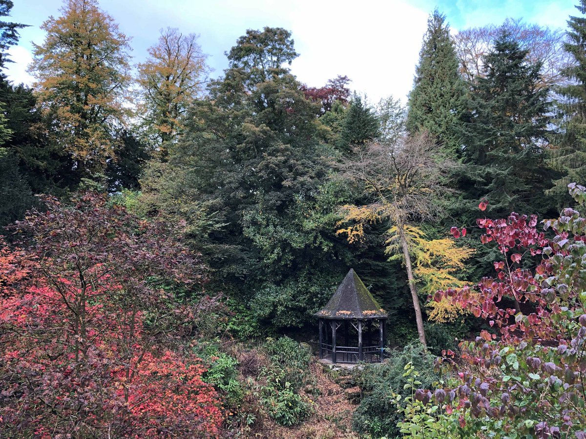 Welcome to Fife tweet media