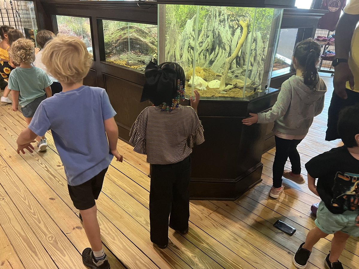 FOHISC's tweet image. The Nature Center at #HuntingIsland is OPEN 🐊

Come visit the newly enhanced Interpretive Exhibit space 🐢🦅🪱🦀