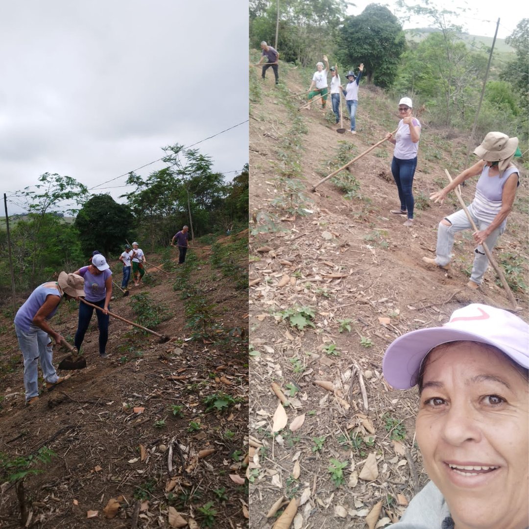 🍍Foi realizada a limpeza nas plantações de mandioca, abacaxi e abóbora. Também aproveitaram o momento para planejar o Encontro Estadual do MMC-ES em 14 e 15 de outubro.

MMC 40 anos, existimos porque lutamos!!!

#QuintaisProdutivos
#SementesDaResistência