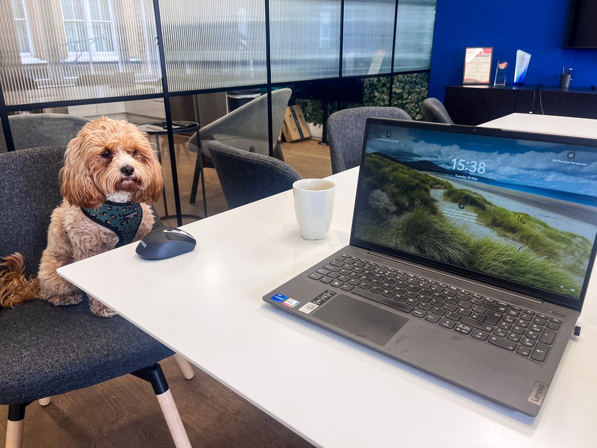 JBi_Digital's tweet photo. Meet Dottie, @JBi_Digital's favourite furry companion and unofficial office therapist! 🐶

Don’t be surprised if you hear her barking orders in the meeting room! 🔊

#DigitalAgency #OutstandingExperiences #JBiDigital #OfficeTherapist #OfficeDogs https://t.co/b90blOGW1M