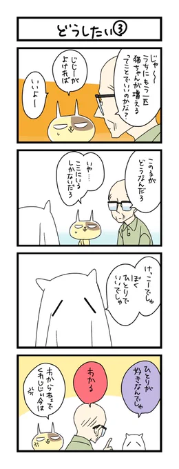 【夜の4コマ部屋】どうしたい③ / サチコと神ねこ様 第2046回 / wako先生 