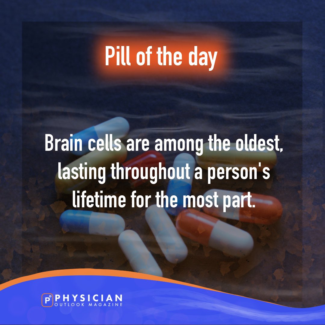 thePOmagazine's tweet photo. Explore the fascinating world of our brain's longevity with this curious fact! 🤯🧪
 
#BrainCuriosities
#PhysicianOutlook #DailyNugget #HealthCuriosities #MedicalMagazine #CuriousHealthFacts #HealthData https://t.co/9bt0EHatYz