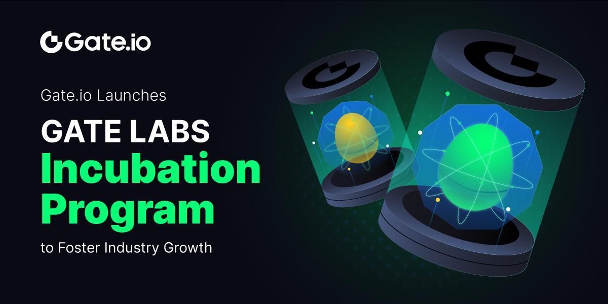 Gate's tweet photo. 📢https://t.co/8kWqgEeplL Launches Gate Labs Incubation Program for Blockchain Start-ups!

🚀 Announcing our program for early-stage blockchain projects. 

👉Learn more: https://t.co/CjNNaBGTI5

Join us in shaping Web3's future!

#GateLabs #Blockchain #Web3 #Startups #Incubation https://t.co/xw3jlIdbna