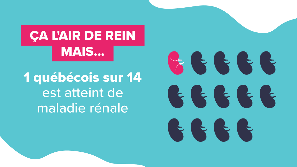 Fondation du rein tweet media