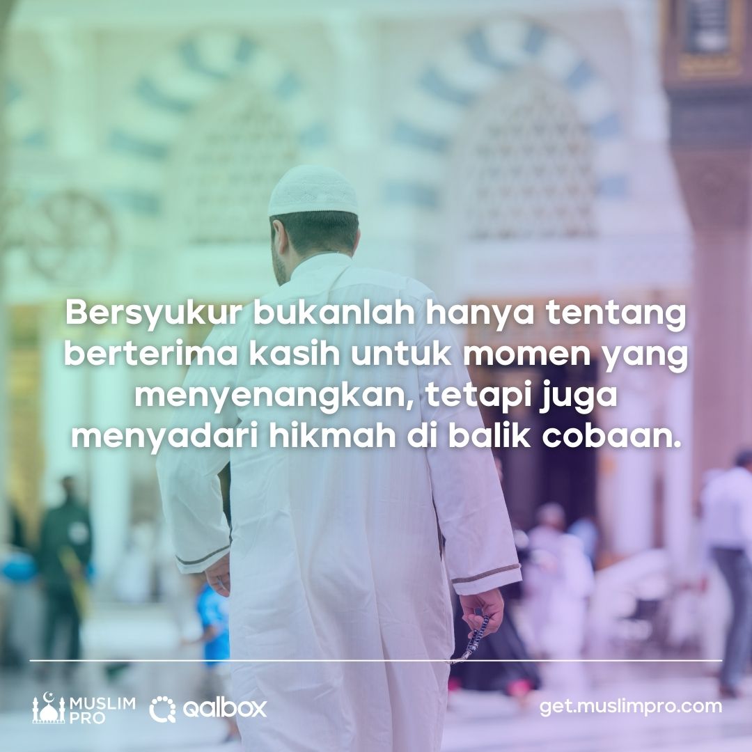 Sembari mengucap syukur kepada Allah atas nikmat yang dilimpahkan-Nya kepada kita, marilah kita juga mensyukuri hikmah atas setiap cobaan yang menimpa kita. 🙏 #muslimpro #qalbox #syukur #islam