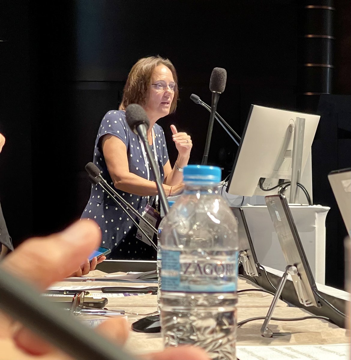 Rfonsi1's tweet photo. @FaithEDavies1 reviewing evolutionary patterns in #IMS23RF #mmsm and precursor conditions. https://t.co/7FVba563st