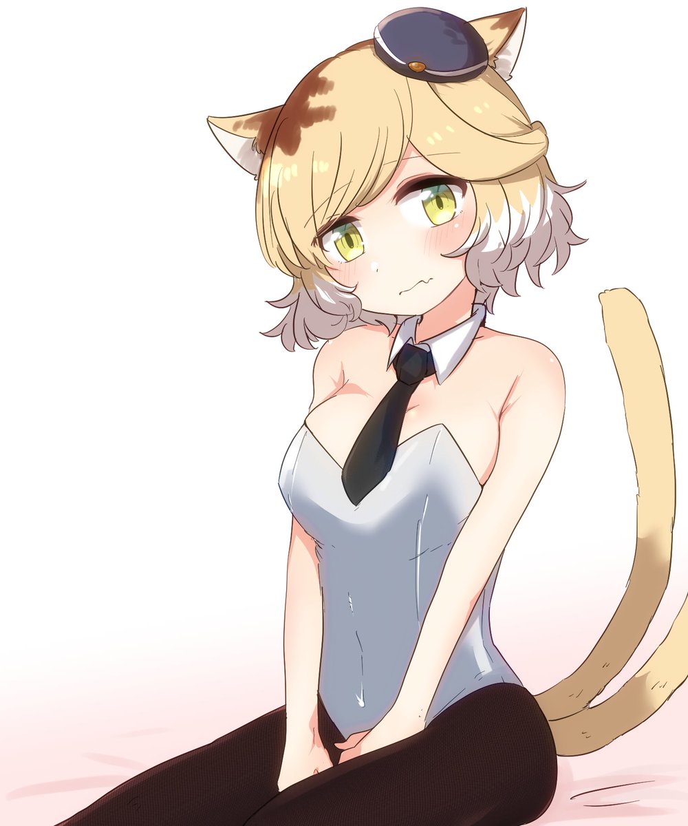 こじ汰けんちん tweet media