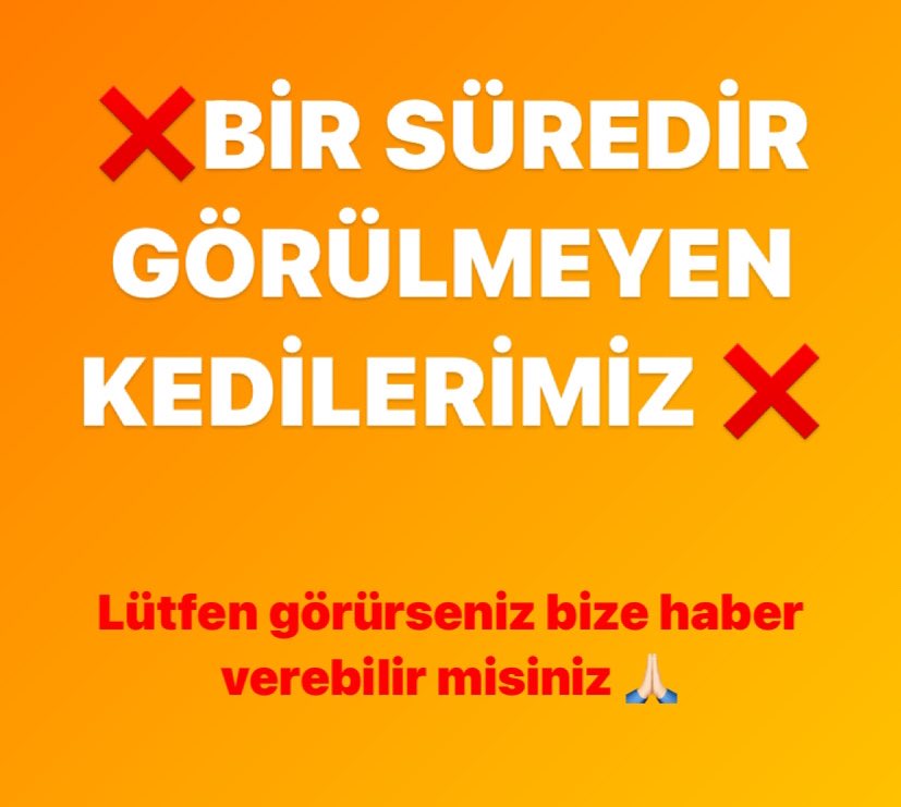 ❌Bir Süredir Görülmeyen Kediler❌

Gönderide yer alan kedilerimizi bir süredir göremiyoruz ve başlarına bir şey gelmiş olabileceğinden endişeleniyoruz. Lütfen görürseniz bize haber verebilir misiniz 🙏🏻