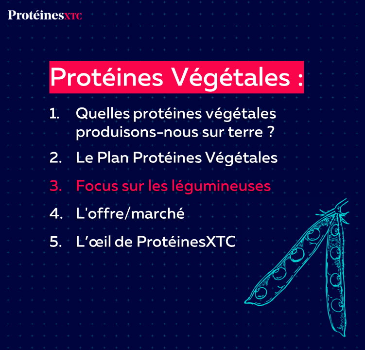 🌱🍽️ Les #légumineuses : un potentiel encore sous-exploité pour une alimentation durable :

✅ Atouts culinaires ✅ Atouts budgétaires ✅ Atouts nutritionnels ✅ Atouts environnementaux

Accédez à l'article 3/5 de la saga « Protéines végétales» >> proteinesxtc.com/focus-sur-les-…