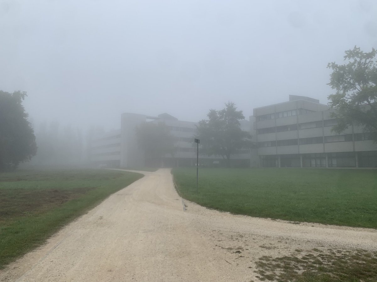 Christian Wolff (@chriswolff) on Twitter photo Der Herbst ist da - hoffentlich finde ich mein Büro … <a href="/uni_regensburg/">Universität Regensburg</a> @stadtregensburg Der Herbst ist da - hoffentlich finde ich mein Büro … <a href="/uni_regensburg/">Universität Regensburg</a> @stadtregensburg
