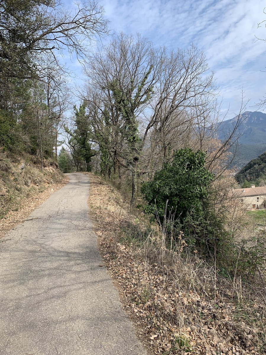 Sepp Kuss tweet media