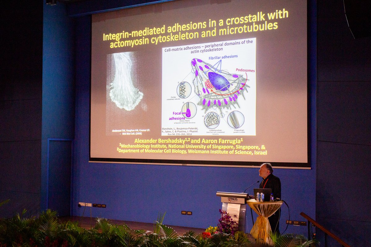 Mechanobiology Institute tweet media
