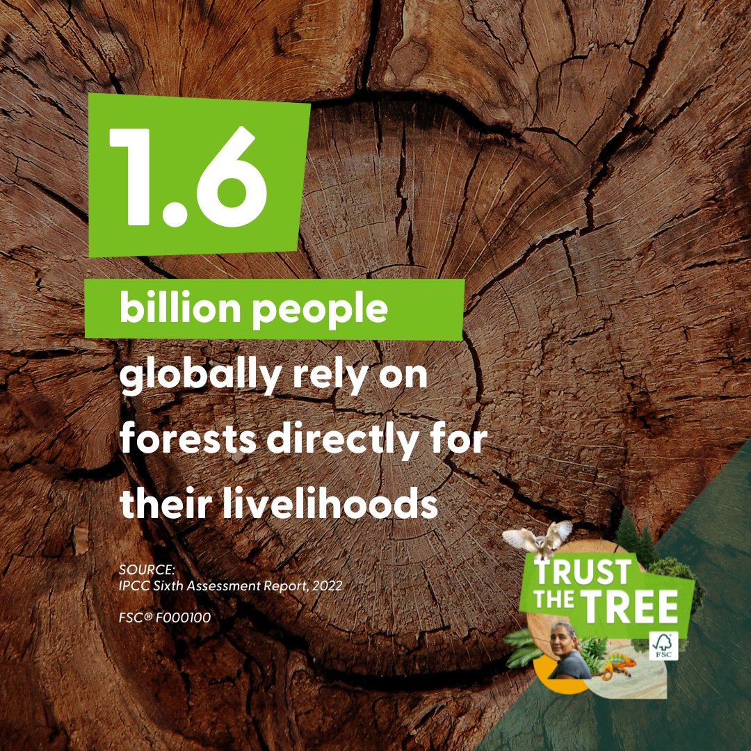 FSC_IC's tweet image. Did you know that 1 million species are at risk of extinction? By becoming a forest steward this #FSCForestWeek, we can work together to preserve more forests and tackle climate change. 

Find out more here: fsc.org/forestweek  

#TrustTheTree