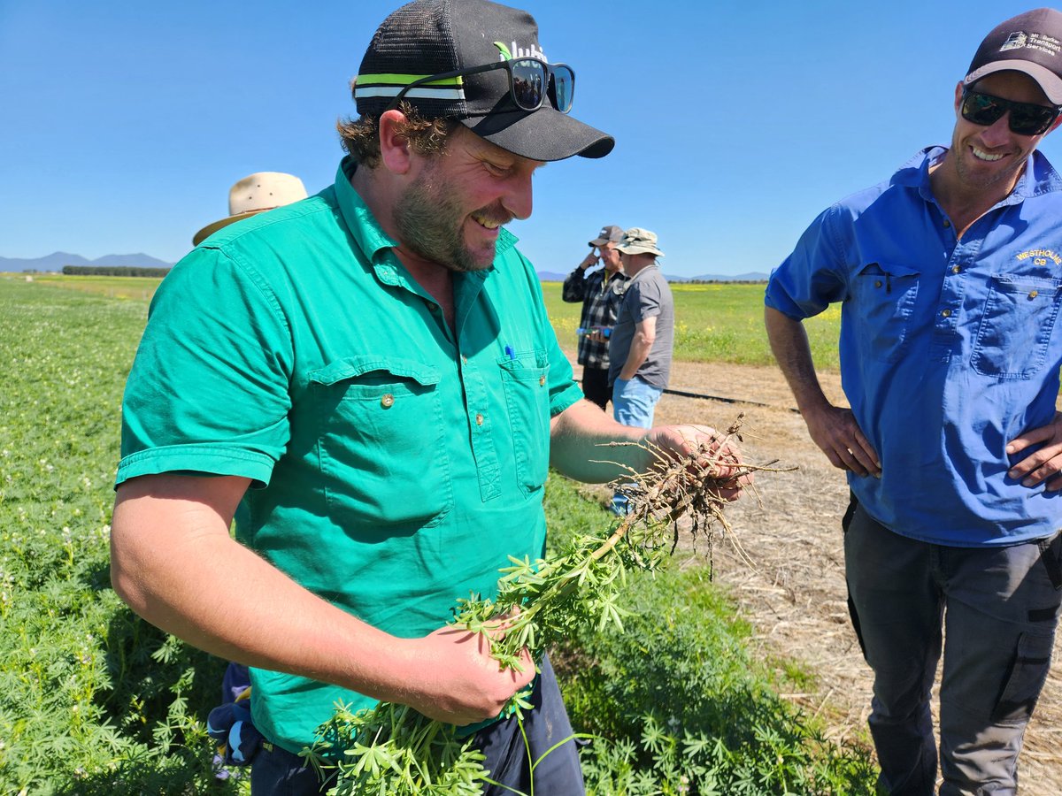 Gillamii (@thegillamii) on Twitter photo Thank you to all those who joined us last week for the Cranbrook Croppy field day and generating some great discussion at each site. <a href="/meatlivestock/">Meat & Livestock Australia</a> <a href="/GRDCWest/">GRDC West</a> <a href="/GGA_WA/">Grower Group Alliance</a> <a href="/SouthCoastNRM/">South Coast NRM</a> Thank you to all those who joined us last week for the Cranbrook Croppy field day and generating some great discussion at each site. <a href="/meatlivestock/">Meat & Livestock Australia</a> <a href="/GRDCWest/">GRDC West</a> <a href="/GGA_WA/">Grower Group Alliance</a> <a href="/SouthCoastNRM/">South Coast NRM</a>