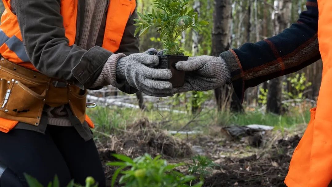 Cuenca lanza un nuevo programa para proyectos emprendedores de la bioeconomía forestal buff.ly/3F8C4ER
Tiene como objetivo apoyar y promover ideas innovadoras para aprovechar el potencial de los bosques de Cuenca. Está dotado con 30.000 euros para premios y becas.