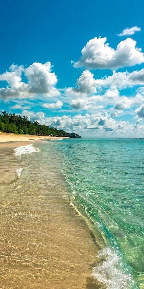 I have a great Wednesday on this magnificent beach with clear waters 💙🍹😎💙