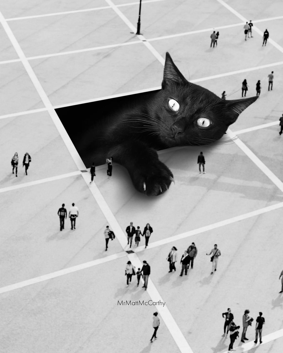 Lettyoumag's tweet photo. Mr. Matt McCarthy et ses chats gigantesques - Article à retrouver en intégralité sur : https://t.co/sitRqYIWNR
Pour ne rien manquer des prochaines publications : Abonne-toi 😉
#lettyou #art #artist #artwork #illustration #illustrationstyle #cat #chat #catlover #catlife #catworld https://t.co/AGP7I54c5A