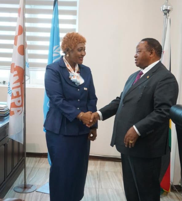UNFPA_Zimbabwe's tweet photo. @UNFPA representative in Zim🇿🇼@MirandaTabifor
presents her credentials to the Minister of @MOFA_ZW
Ambassador Frederick Shava @ShavaHon
“It is my honour & priviledge to serve the women & young people of Zim,” she said towards:
#ZeroMaternalDeaths
#ZeroUnmetNeed4FP
#ZeroGBV https://t.co/O0AIeGSWGJ