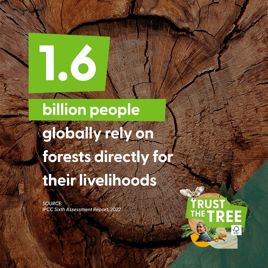 TheICF's tweet image. According to @IPCC_CH&apos;s 2022 Sixth Assessment Report, 1.6 billion people globally rely on forests for their livelihoods.

We&apos;re supporting #FSCForestWeek to help safeguard forests for the climate &amp;amp; for local communities who rely on them. 

fsc.org/en/fsc-forest-…

#TrustTheTree
