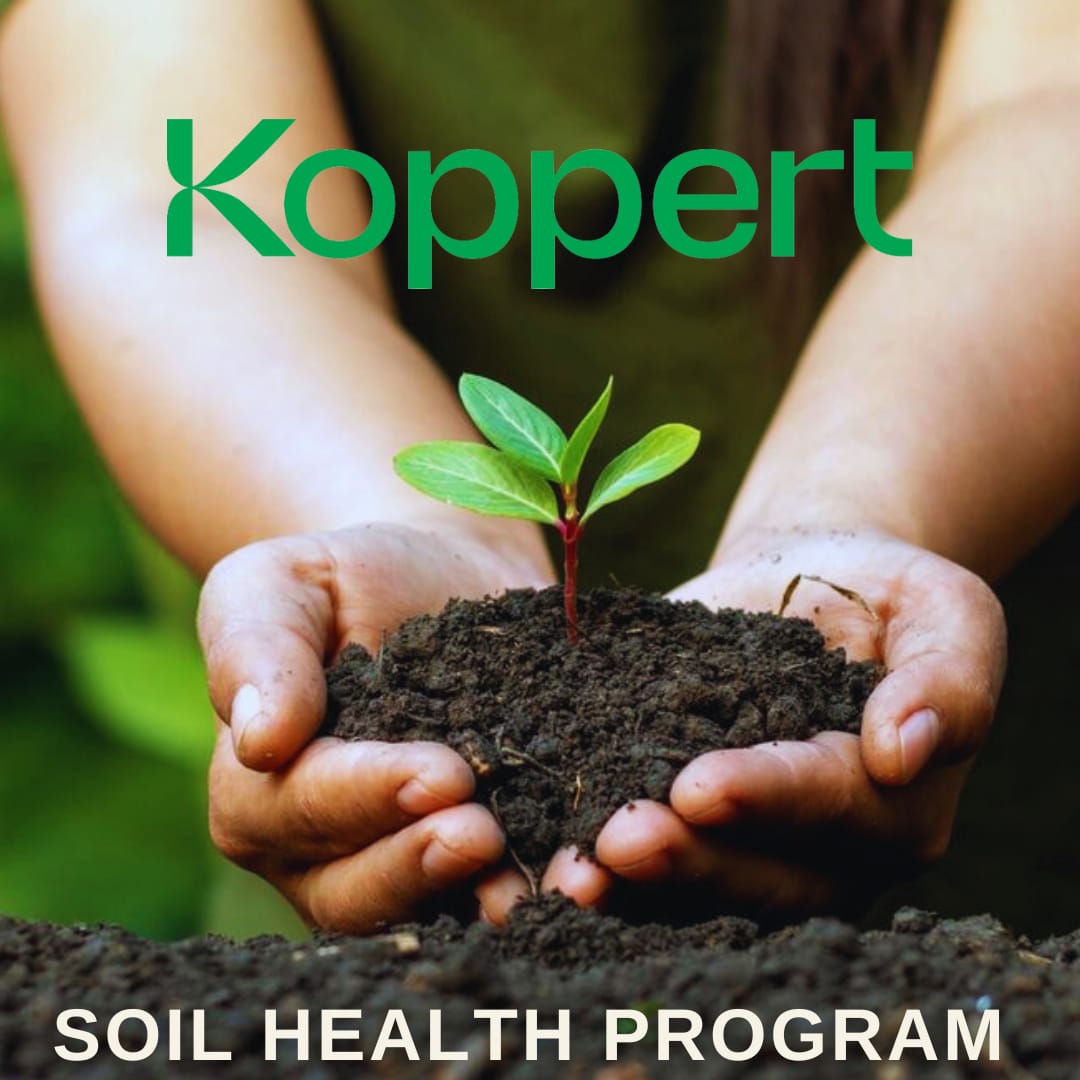 KoppertKenya's tweet photo. #DYK? We offer a soil health program? It is a 3 tiered strategy using some of our key solutions to strike the perfect balance within our soils to ensure productivity and resilence🌏

Learn more here: https://t.co/7sNdKcnqyr
#Soilhealth #Nopath #Trianum https://t.co/YrhLPOzmeZ