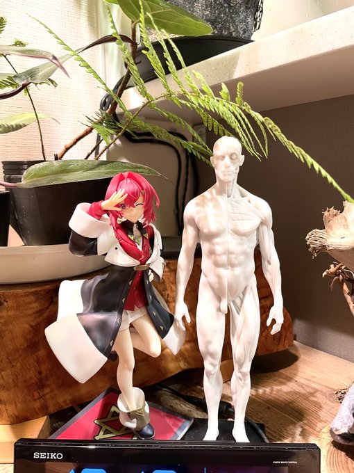 きちゃ〜〜〜!かわえ〜〜!!!!!✨✨✨
彼氏の横に置いといてあげた😊✌️ 