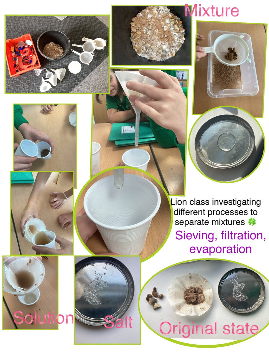 CloverfieldsSch's tweet photo. Super scientists in Lion class #CloverfieldsScience https://t.co/veE0wy1RLg