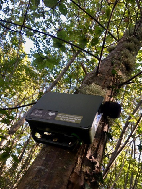 CETEMAS's tweet photo. Monitorización de los ensayos de #monte bajo de #castaño mediante tecnología #IoT para el estudio del crecimiento y la #biodiversidad
🤝#GrupoSiero @uniovi_info @CETEMAS
Proyecto #BosqueModelo #AgroalimentacionCeroEmisiones #forestal
💵@SCTAsturias @GobAsturias @innovasturias https://t.co/m9eKDF6LrW