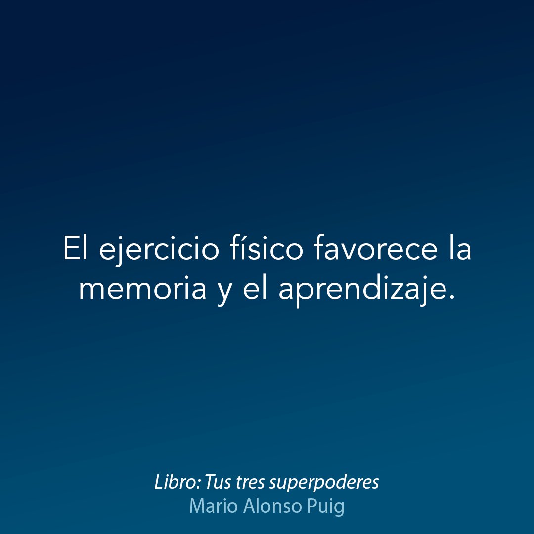 El ejercicio físico no solo favorece la neuroplasticidad de los hipocampos, estructuras esenciales en la memoria y el aprendizaje, sino que además promueve la neuroplasticidad en el cíngulo anterior y en áreas del lóbulo frontal y que pertenecen al llamado «cerebro ejecutivo».