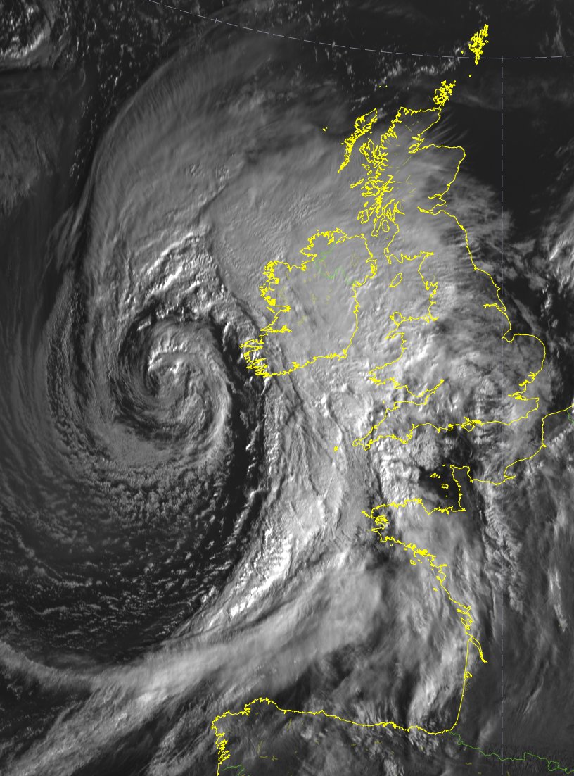 Dr Noel Fitzpatrick tweet media