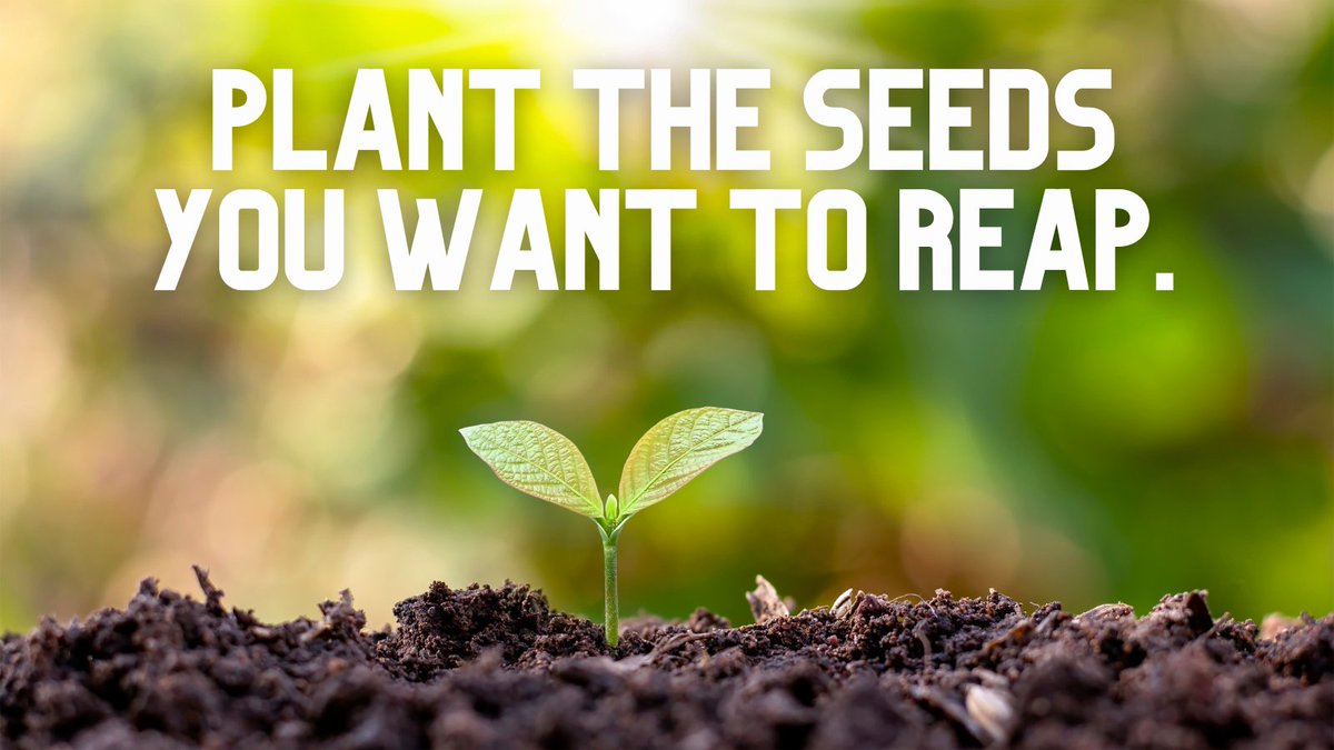 Gm.☕️ Here's something to reflect on..

Our thoughts are seeds. The feelings we have about our thoughts are the sunshine and water for the seeds. 

Pay attention to your thoughts and feelings because what we sow every day is what we reap overtime.

So.. what's your focus?💭