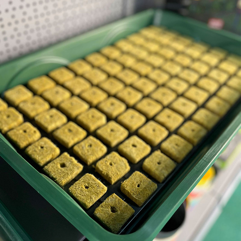 FutureGardenLtd's tweet photo. SBS Rockwell Cube trays are ideal for starting seeds and propagating cuttings. 🌱 The trays fit SBS cubes and come with proper drainage to ensure any excess water drains away.

https://t.co/YcuBPG0DjN https://t.co/NOO65e50O7