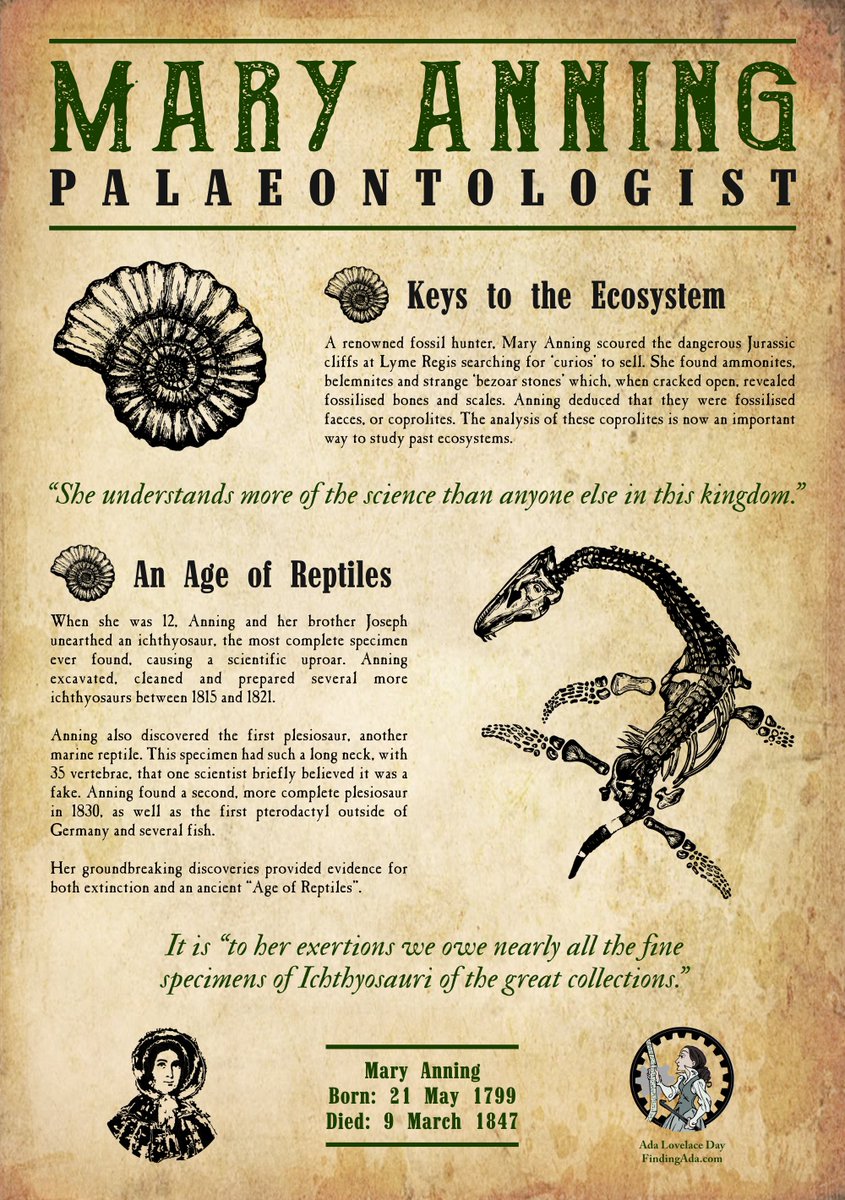 Mary Anning was a renowned palaeontologist who search the cliffs at Lyme Regis for fossils. She discovered the then most complete ichthyosaur ever found, and first plesiosaur. 

Free download: findingada.com/resources/reso…
Buy: redbubble.com/shop/ap/206512…