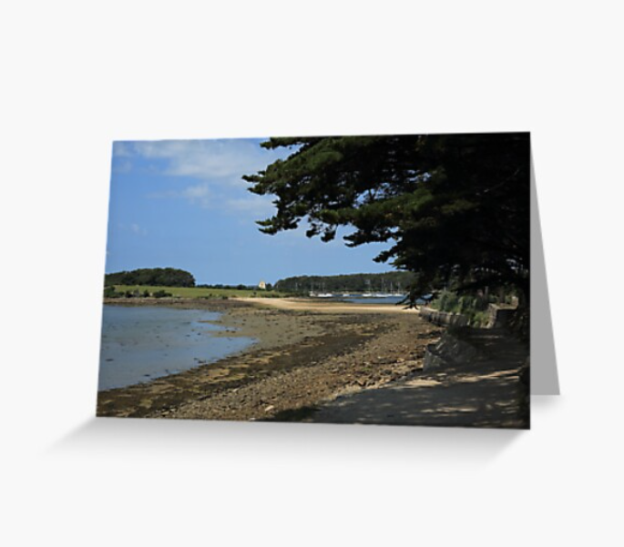 travelphotouk's tweet photo. Now available on #redbubble, one of my images from my summer walking trip around the #golfedumorbihan in #brittany, France. This one is of Les Sept Iles - an island accessible on foot at low tide.

https://t.co/AnEqtbrbXD

#pilgrimage #longdistancewalk #gr34 https://t.co/llCLl81nMJ