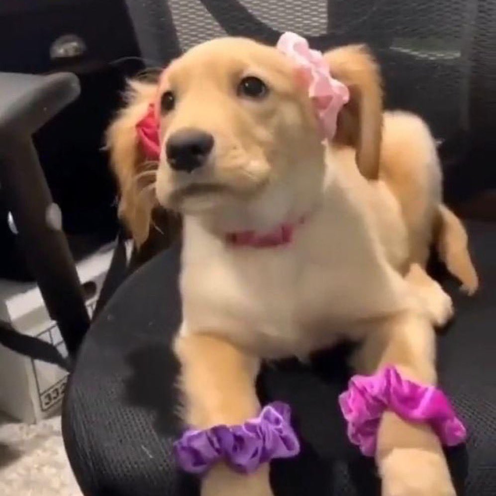 20O2O912's tweet image. 이주연