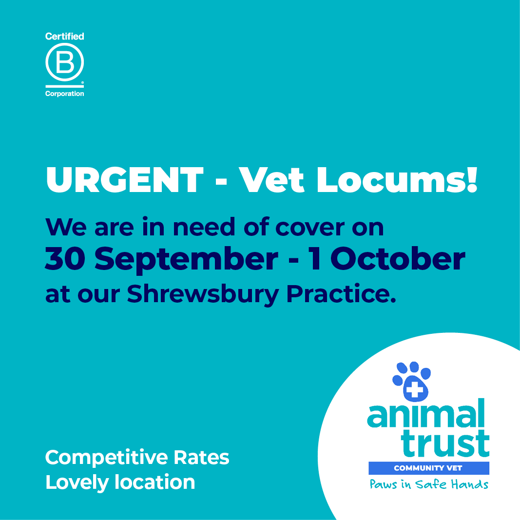 Animal Trust Vets tweet media