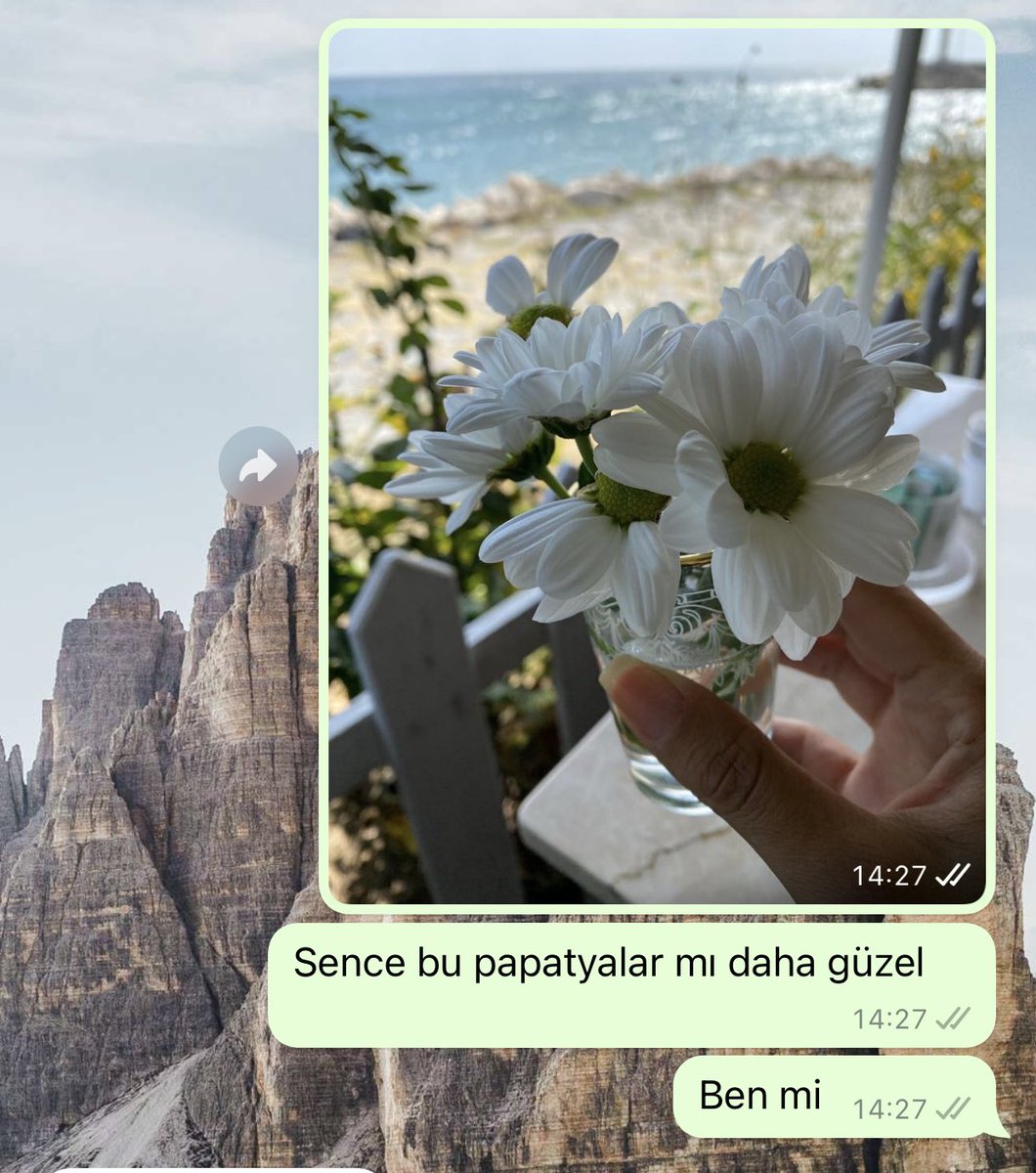 Benim rutin