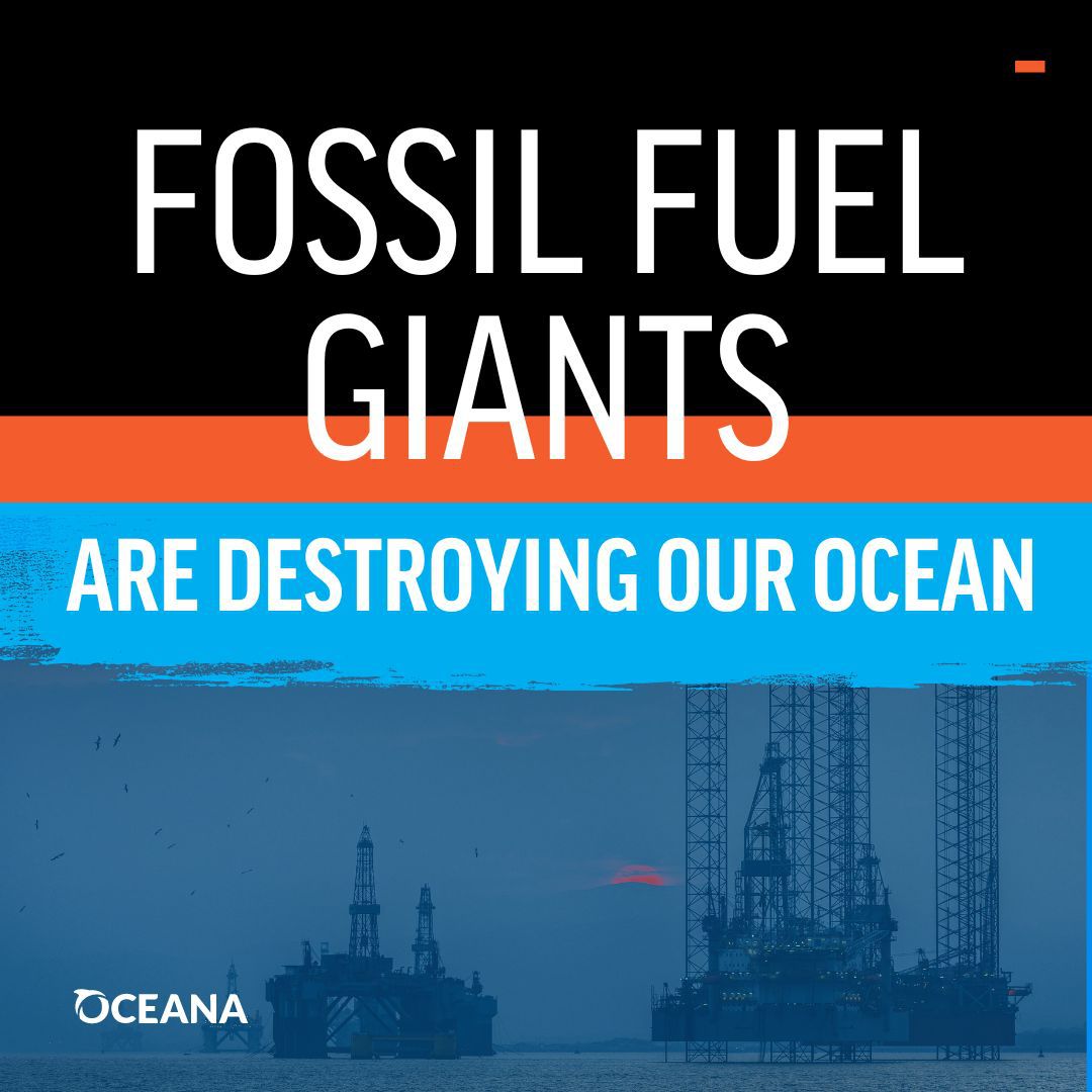 Today, the government announced it is approving the Rosebank oilfield. 

This is nothing short of an #AttackOnNature & we cannot let this stand.

It will:
🦈Destroy & degrade ocean life 
🌡️Hasten climate breakdown
🛢️Lock us into a dead-end industry
⚠️Undermine energy security