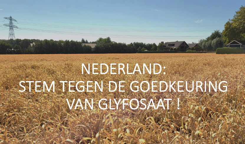 PanNederland's tweet photo. BAYER verbergt ongunstige onderzoeken en gegevens over carcinogene &amp; neurotoxische effecten van glyfosaat.
@global2000 en andere NGO´s dienen bij de openbare aanklager van Wenen verzoek tot strafrechtelijke vervolging van Bayer in !
 https://t.co/WiOvIJpRjQ
@CTGB_NL @ministerlnv https://t.co/jIL27TYmQV