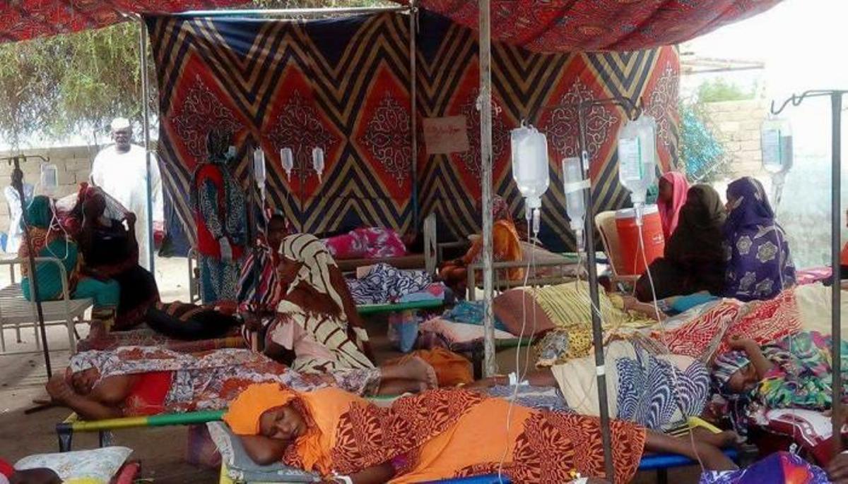 Sudan's health system is overwhelmed by the alarming spread of dengue fever, diarrhoea, malaria, and cholera in Gaderf state in eastern Sudan. The healthcare system is collapsing, and there is a severe shortage of medicines. Cholera cases have also been reported in Khartoum.