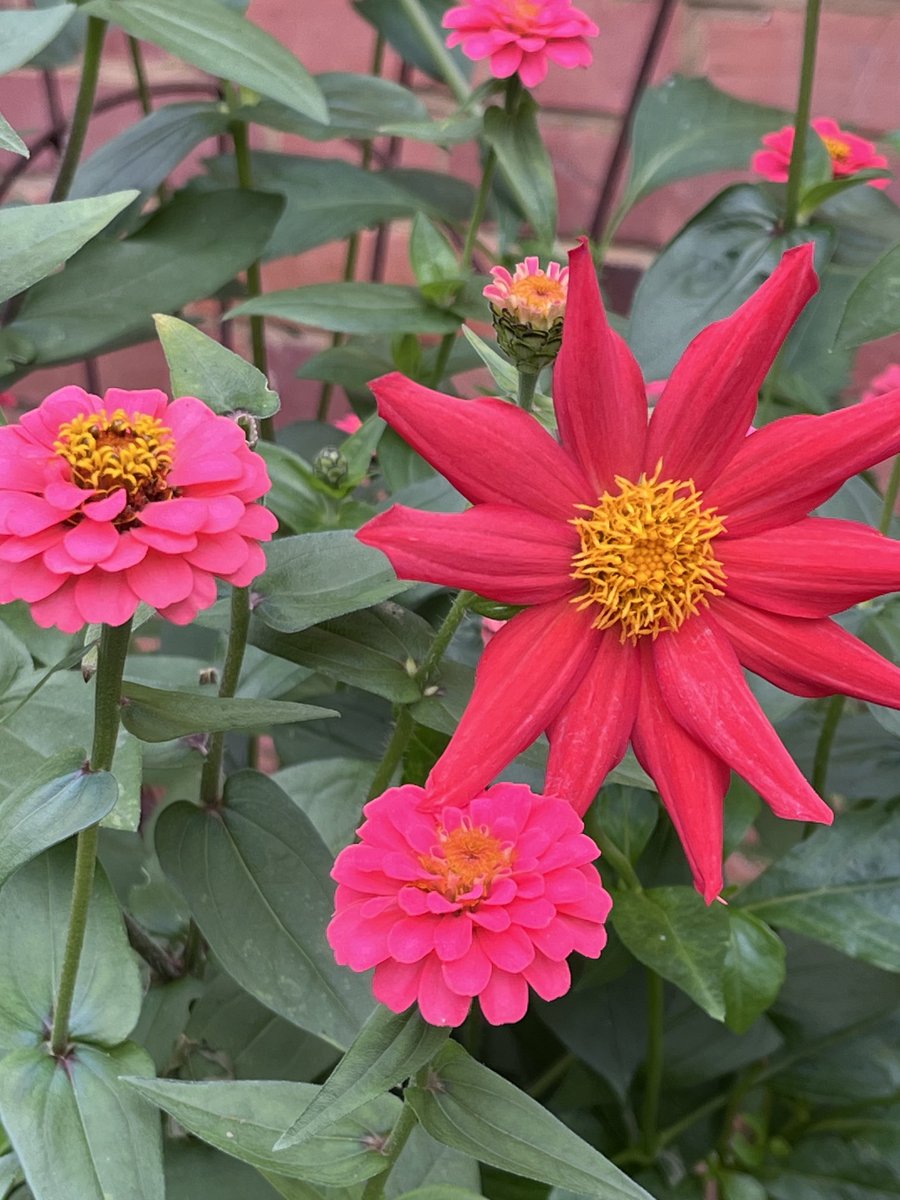 Red and pink? 🤔 I’ve never done coordinating colours 🙄🤣