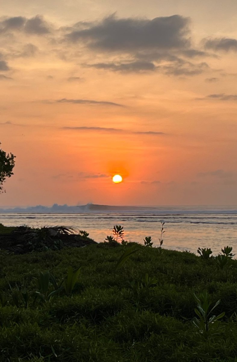 blockchainchick's tweet image. Good evening friends