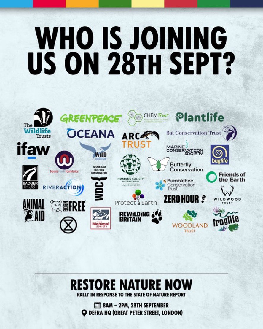 I’ll be there tomorrow to fight for our beleaguered country & all the natural treasures we’re slowly destroying🌳🦊🦔🐣

It feels like no one is listening or cares but that isn’t a reason to give up💪🏽

#WarOnWildlife 🦊
#WarOnNature 🌳
 #ClimateCrisis 🌍
#ShitGate 🌊