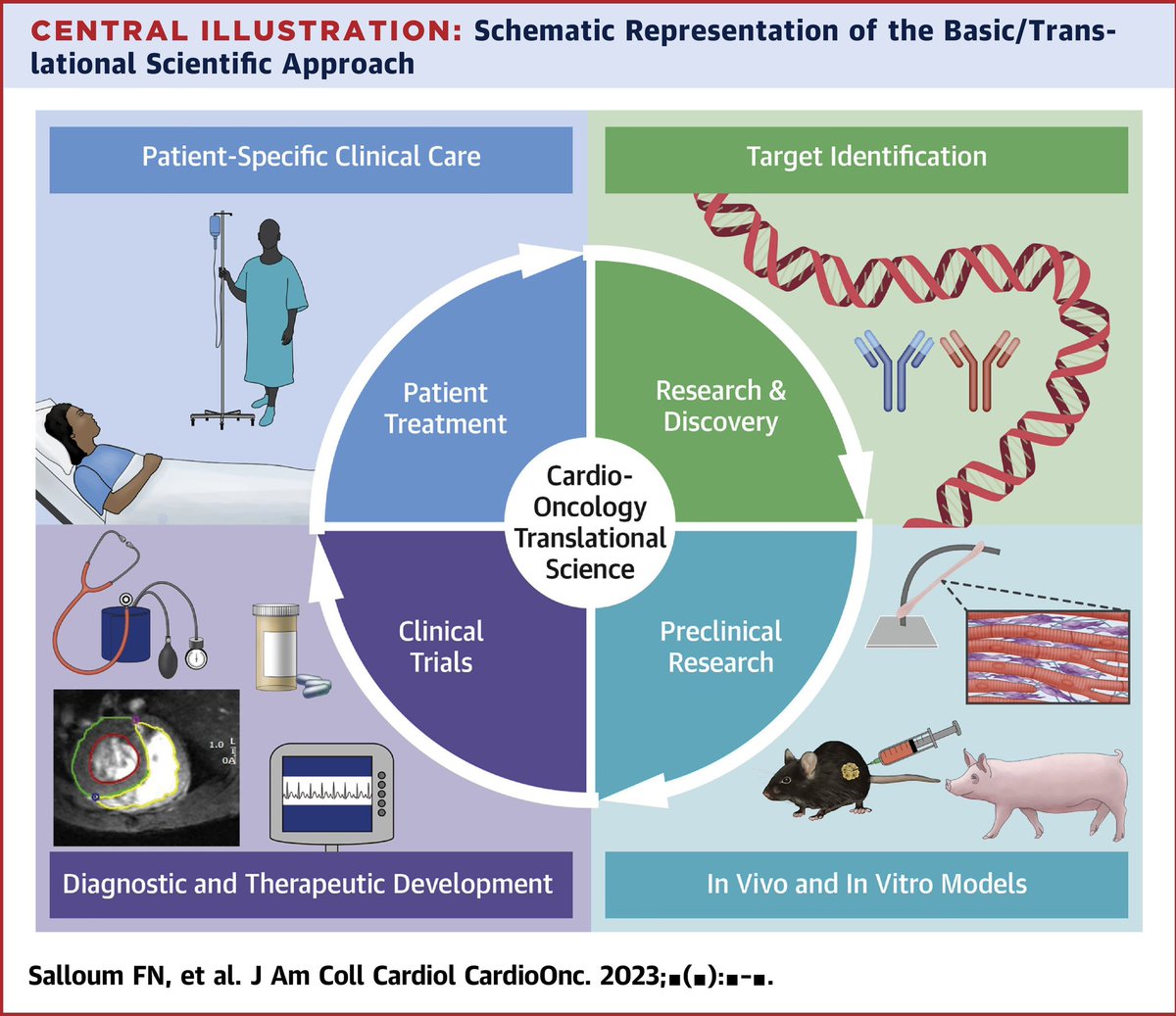 #GCOS2023 #JACCCardioOnc SimPub: Catch up on the latest #TranslationalResearch in improving #cardiovascular health & reducing #cardiotoxicity following cancer therapies in this state-of-the-art review: bit.ly/3Q19Bah   #CardioOnc #CardioTwitter