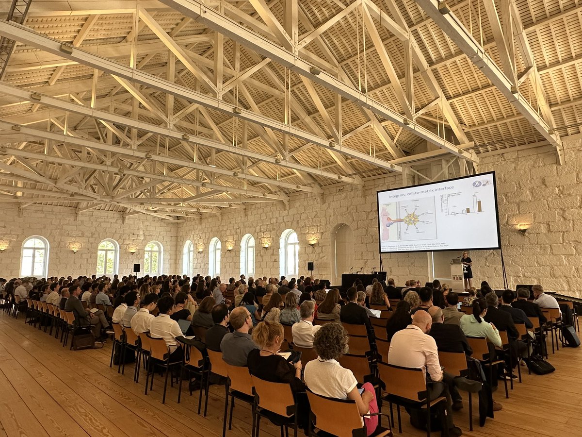 Inspiring opening plenary talk by Prof Denitsa Docheva on tendon healing <a href="/eors2023/">EORS2023</a> #tendon #orthoregeneration