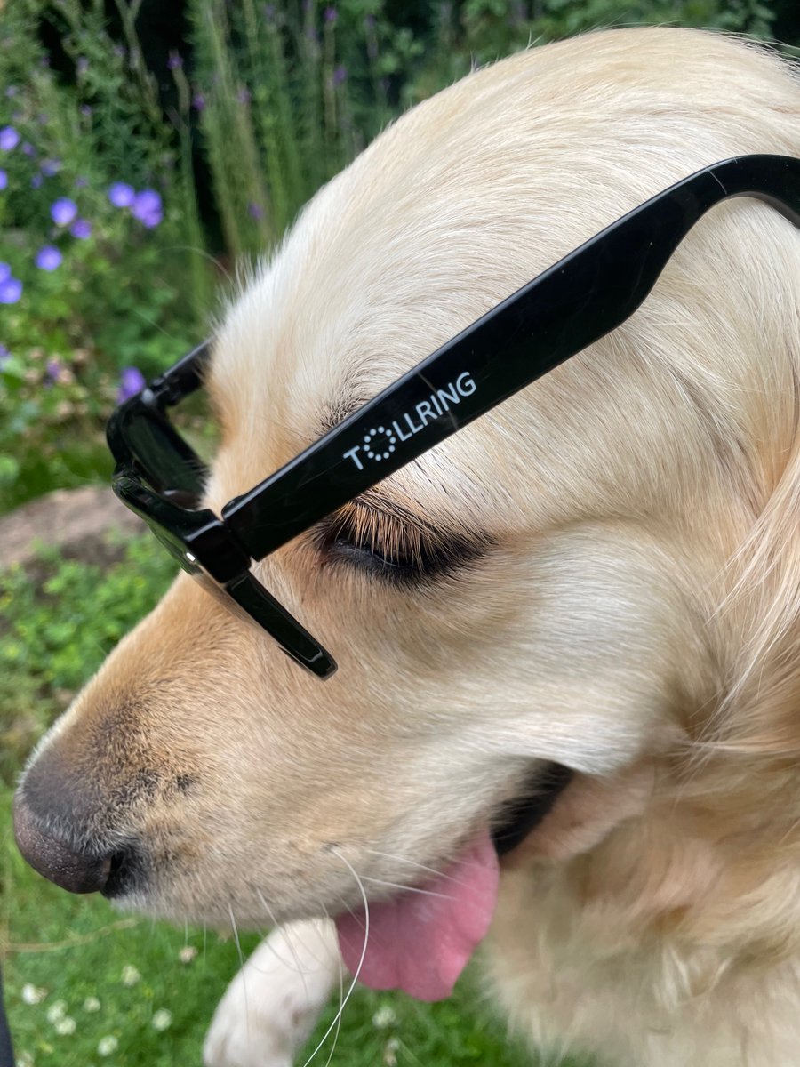 Tollring tweet media