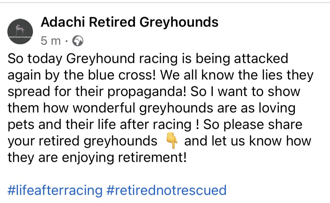 #lifeafterracing #retirednotrescued #dontbelivethelies