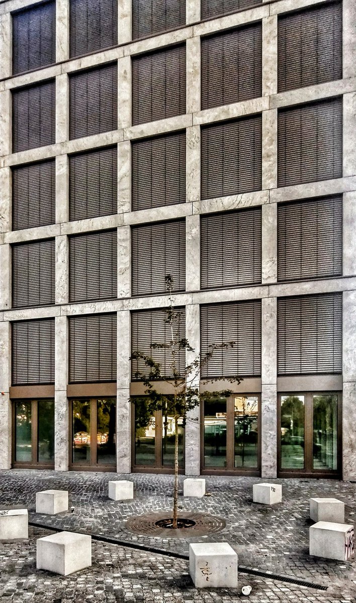 Quambusch1's tweet photo. Vorsicht! Baum schlägt aus! https://t.co/pvqdBJ5kTk