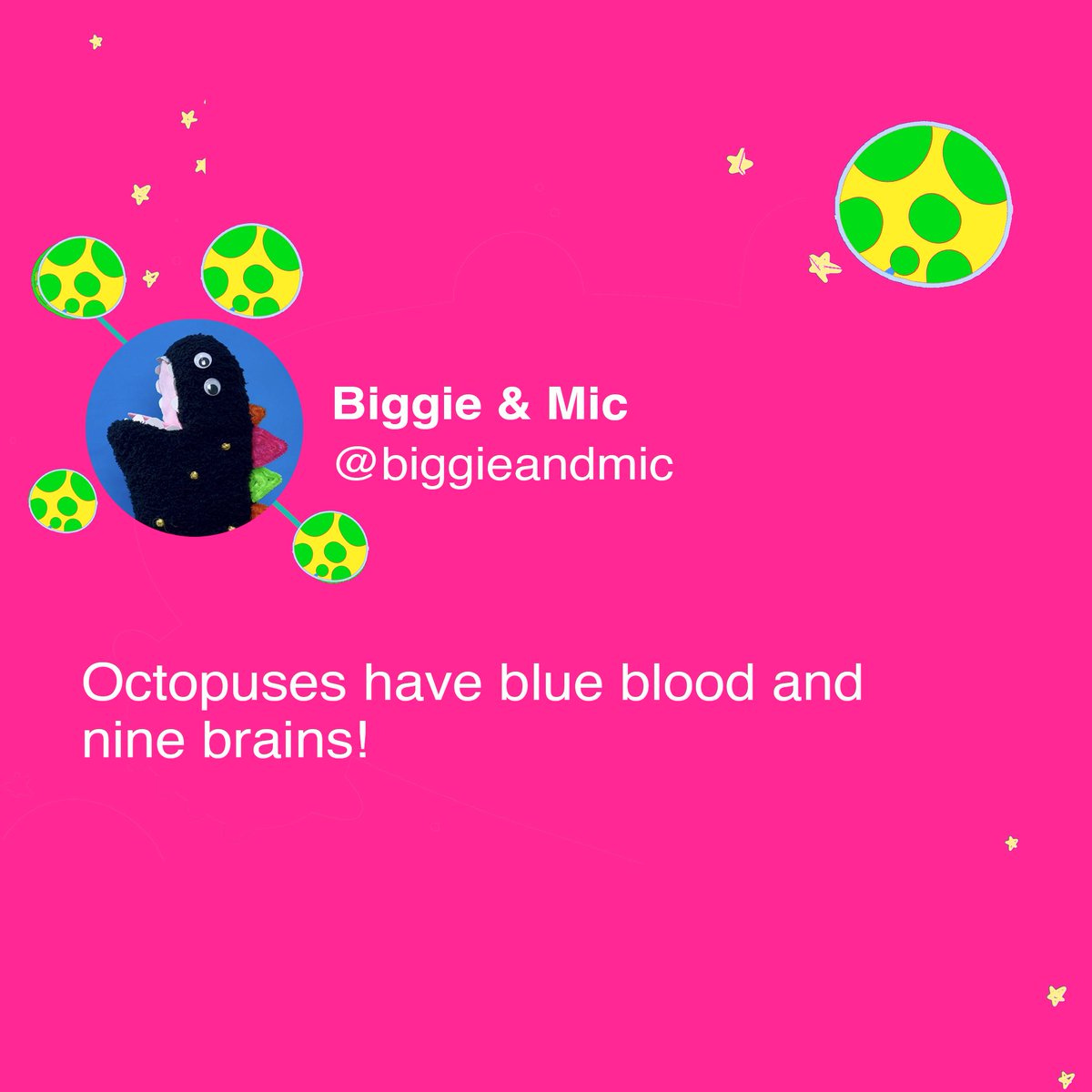 BIGGIEandMic's tweet image. Here&apos;s some wacky Space Dino wisdom from BIGGIE! Dive into the universe of fun facts with our BIGGIE!
@cabbageandtyler 
#biggieandmic #funfacts #funfactsforkids