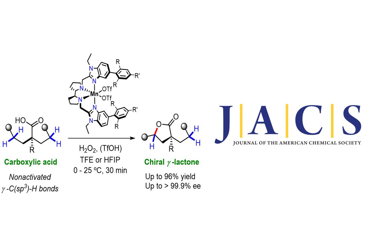 Check our lastest work by @ArnauCall @GiorgioCapocasa @palone_andrea @lvicensserra @ericapamon @NajouaChAf @NikosSiakavaras @MaEugenia_Lopez @MiquelCostas in collaboration with @MassimoBietti in @J_A_C_S #IQCCpaper #openaccess @QBIScat_UdG @UdGRecerca iqcc.udg.edu/2023/09/27/hig…