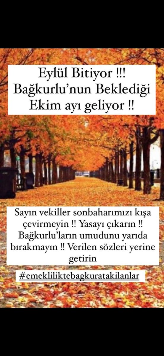 bakkal1975 (@bakkal1975) on Twitter photo 